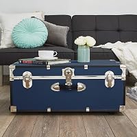 Amazon.com: Seward Trunk Rover, Blue : Everything Else